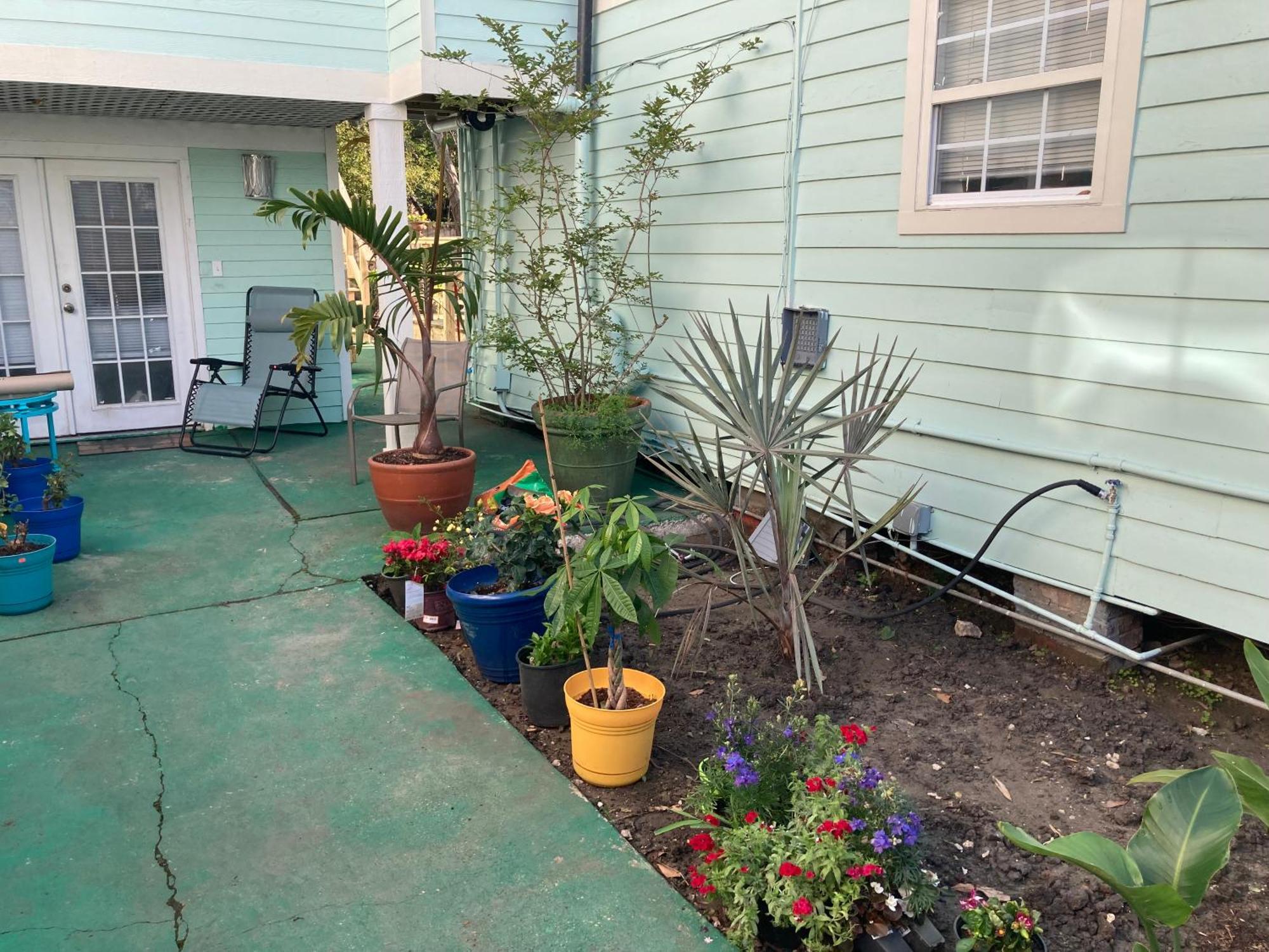 Garden View Apartment *